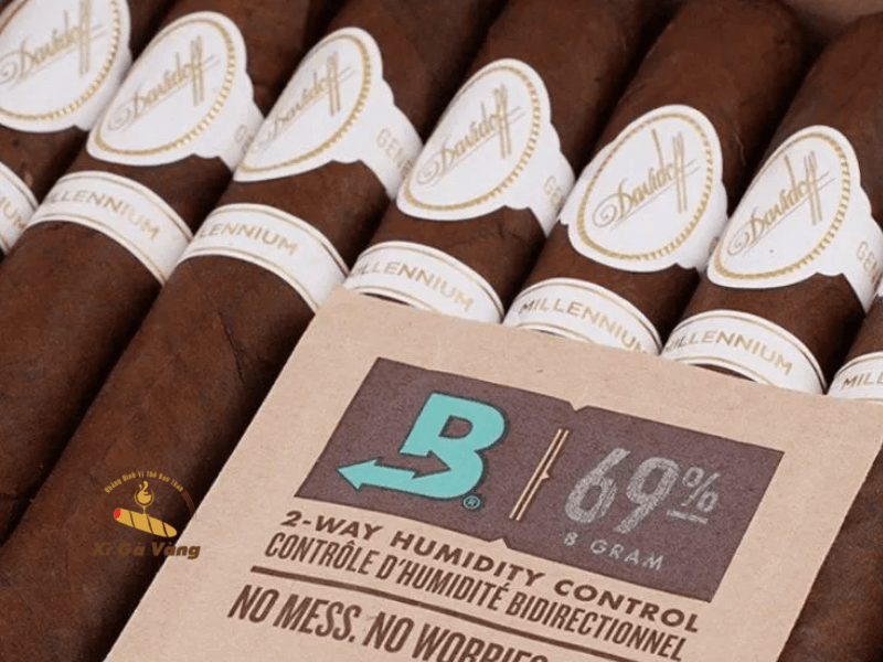 Ưu nhược điểm của túi nước cấp ẩm giá rẻ